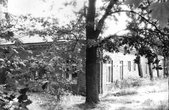 Żeński pawilon płucny. Widok od strony płn - zach.