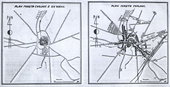 Plan miasta z XIV i XX w.